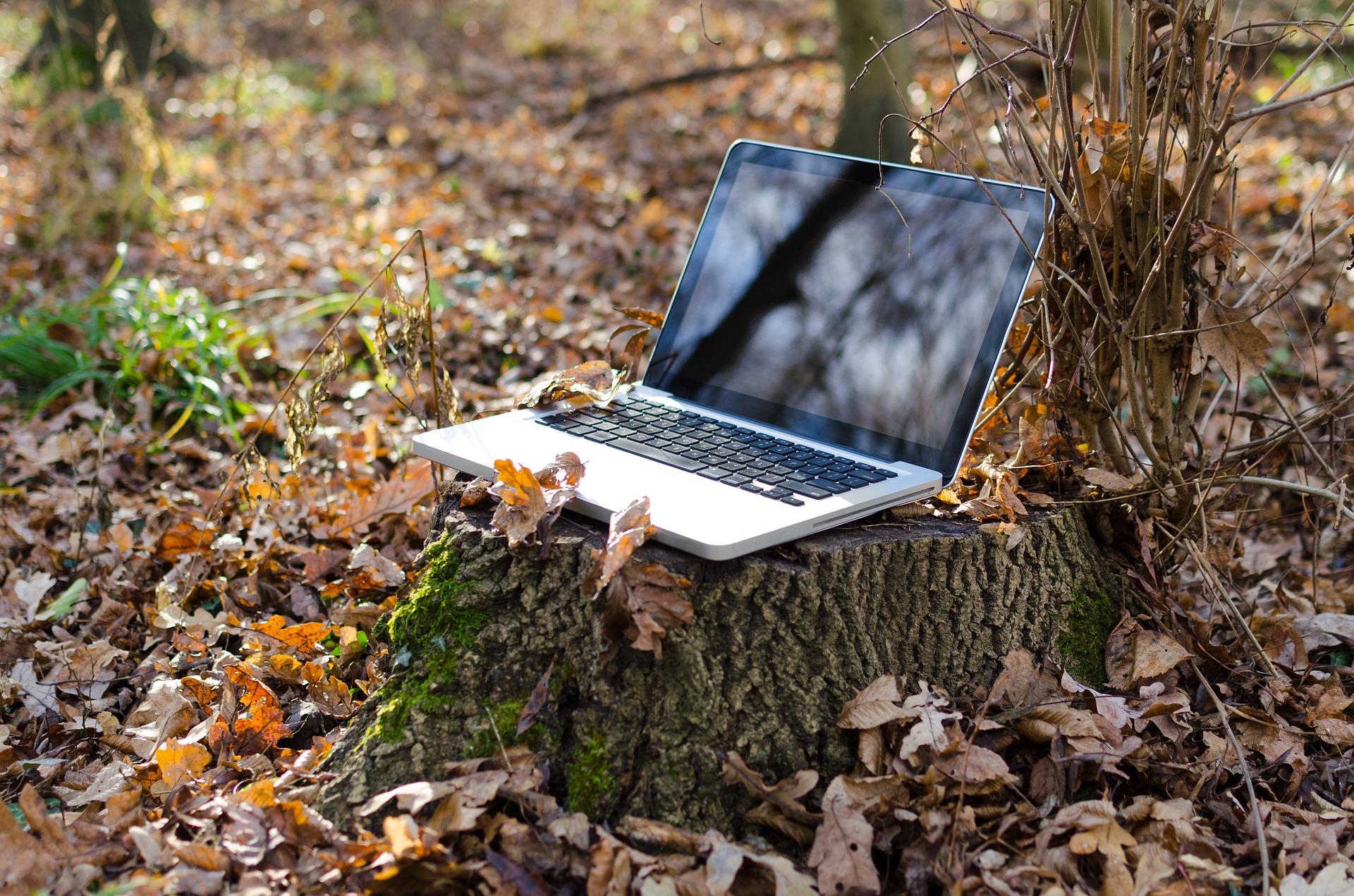 Internet Rural. Uso del ordenador en medios rurales